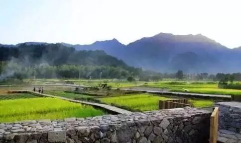 拆怕了?“田园综合体+休闲农业”如何解决土地问题?